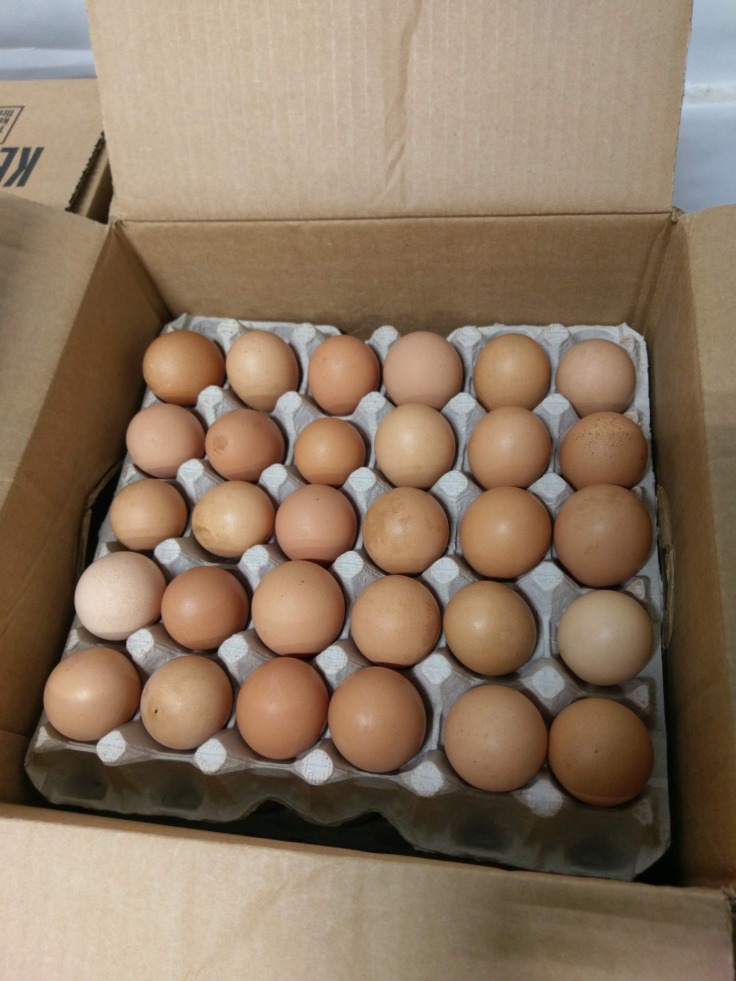 EGGS, Large Flats - 15 dozen/case